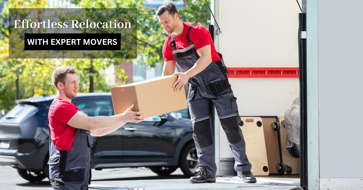 Experience a hassle-free move with professional removalists. BigBull Movers offers expert packing, furniture handling, and secure transportation.